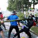 또 등장한 竹棒(죽봉)… '폭력버스' 시위꾼에 습격당한 울산 현대車 이미지
