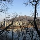 대일농장한우전문식당 이미지