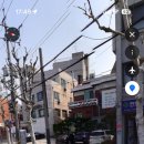 연희제일의원 이미지