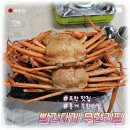 빨간대게 - 서귀포시 동홍로 101 | [포항 맛집] 빨간대게 무한리필 내돈내산 후기