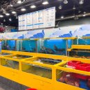 청춘회랑 이미지