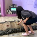 정낭흑돼지 | 제주 실내아이와 가볼 만한 곳,국립제주어린이박물관 리뉴얼 후기