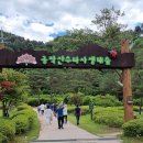 공작산생태숲 이미지