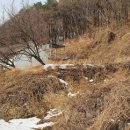 좋은터공인중개사사무소 이미지