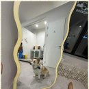 더, 빛나개 이미지