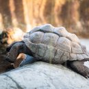 흔적으로의 여행 이미지