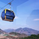 청풍명월국제하키장 | 제천 케이블카 청풍호반케이블카 탑승후기 - 요금 운행시간 시설안내