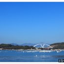 저도