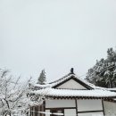 홍천캠핑장 알프스밸리캠핑나라