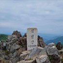 산림생태문화체험단지 이미지