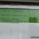 오동도유람선 이미지