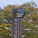 경북 문경 황장산의 운무와 단풍 - 2026.10.24 이미지
