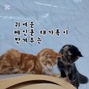 쿤이네집 이미지