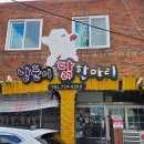 낭푼이닭한마리 | [제주 시청]제주 낭푼이 닭 한마리 후기 / 제주 닭 한마리 제주시청맛집