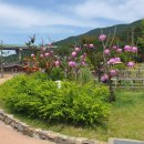 신라불교초전지 이미지