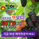 오디정보통신 네이버블로그