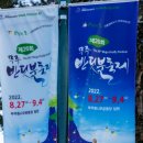 무주 당산대교 | 국내 여행 무주 가볼 만한 곳 반딧불 축제, 안성 낙화놀이 불꽃놀이 드론 쇼~황홀경!
