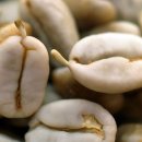 커피철학 이미지