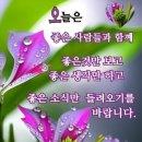 뿌리깊은나무 티스토리