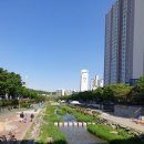 성내천경로당 이미지