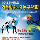 2014경상북도어울림3on3농구대회 이미지