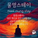 물멍스테이 | 0912 물멍스테이 후기