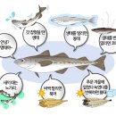 동태갈비백반 이미지