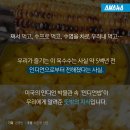 인디안밥 이미지