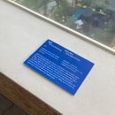 블루 여관 이미지