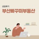오선미공인중개사사무소 | 부산빠꾸미 부동산 2주택 매도전략 상담 후기