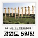 강원도 횡성군 횡성읍 삼일로 | 강원도 주요 5일장 날짜 정선 동해 영월 춘천 홍천 외