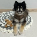 멍냥이방앗간 이미지