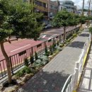 광영초등학교 이미지