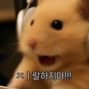 그남자의 쭈꾸미