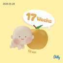 에이투몰 | 임신 17~18주차 :: 배크기 | 두번째 태교여행 | 야구시즌 시작⚾️