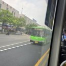 구일우성(아) 이미지