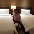 (주)호텔롯데 롯데시티호텔 김포공항 이미지