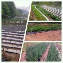 관우농장 이미지