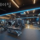 더 세이짐 이미지