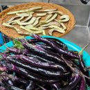 미락농장 이미지