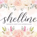 shelline 네이버블로그