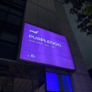 팡팡PC(인-457호) | 석촌/송파역 와인바 <퍼플독> 송파본점 :: 존맛 와인 무제한 시음 / 너무 맛있어서 보틀로 사옴!