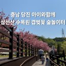 삼선산수목원 숲속도서관 | 4월에 꼭가야하는곳 충남 당진 겹벚꽃명소 삼선산수목원 아이와함께 숲놀이터 모래놀이터