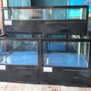 무지개해양수족관 이미지