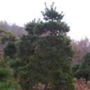 낭산농장 이미지