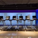 와이투짐 이미지