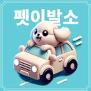 어안이 멍멍 이미지