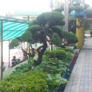 활초초등학교 이미지