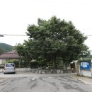 동하경로당 이미지