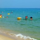 삼척해수욕장 이미지